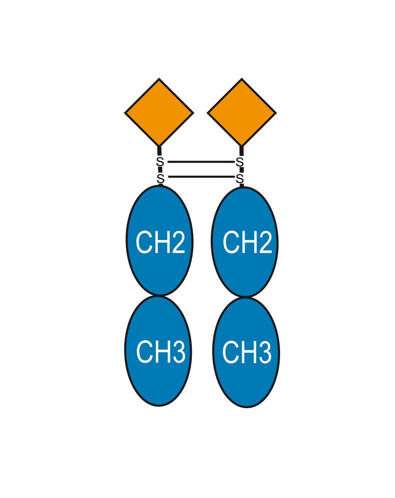 Experimental Validation Results for Efprezimod alfa